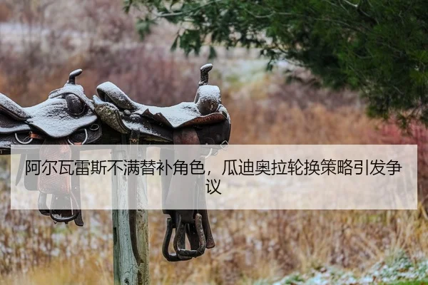 阿尔瓦雷斯不满替补角色，瓜迪奥拉轮换策略引发争议