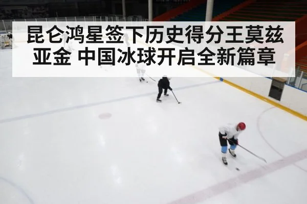 ice hockey game